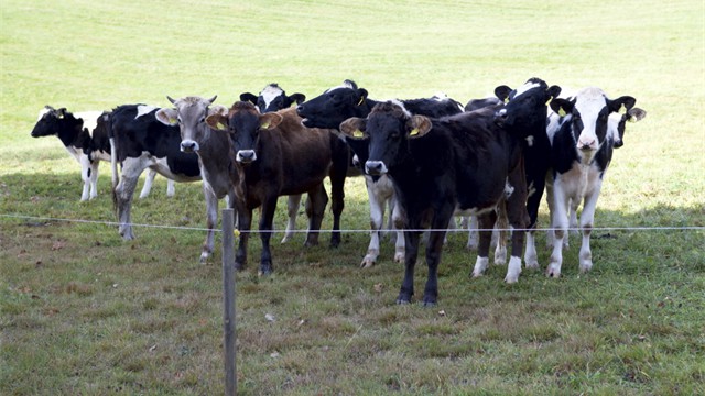 unsere Landschaftspfleger